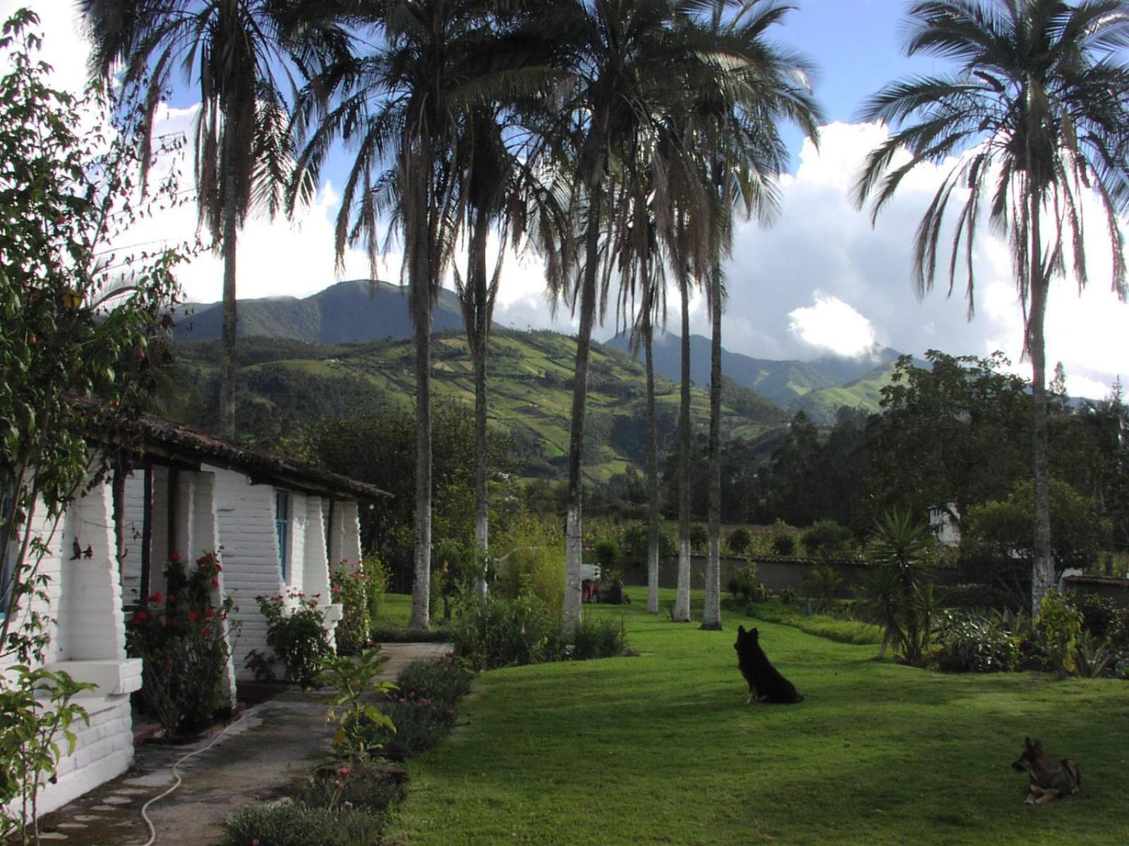 Las Palmeras Inn Otavalo Zewnętrze zdjęcie